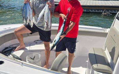 Planning a Private Charter in Clearwater: Your Stress-Free Guide