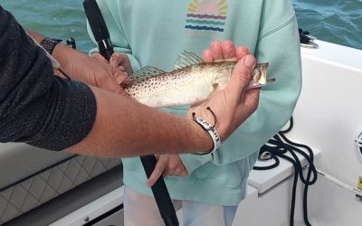 How Veteran-Owned Charters Deliver Authentic Florida on Clearwater Waters