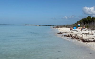 Plan the Perfect Private Sandbar Party in Clearwater: A Local Captain’s Guide