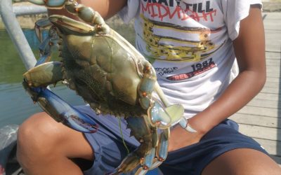 Service After the Sirens: How Sportsman Charters Supports First Responders with Mission-Driven Time on the Water