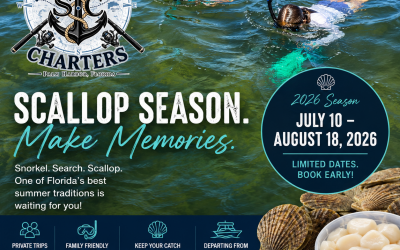 2026 Florida Scallop Season: Dates, Limits, and What to Expect