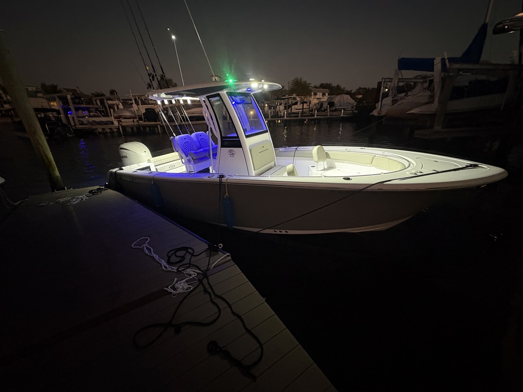 Redfish in Clearwater