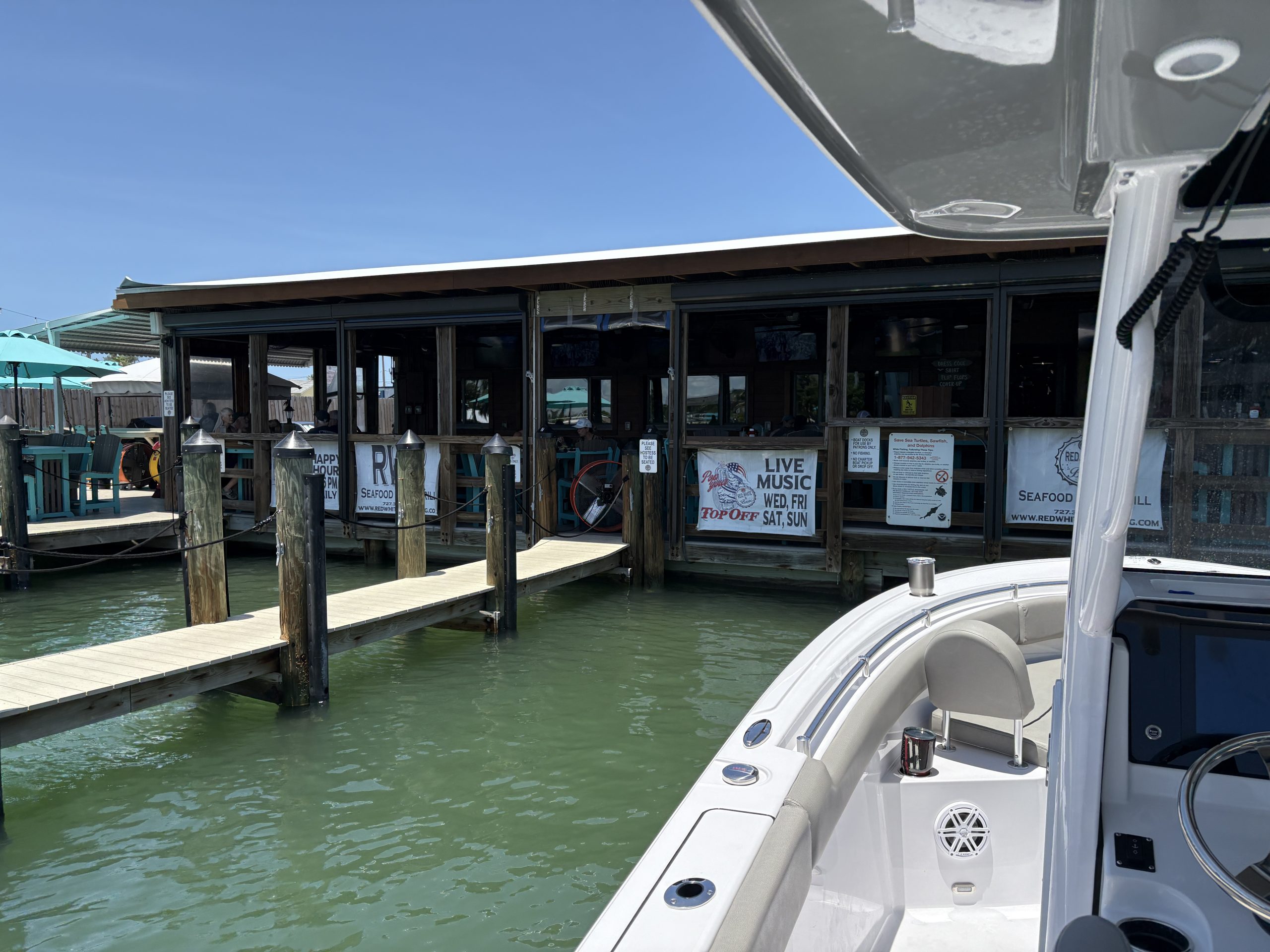 Redfish in Clearwater