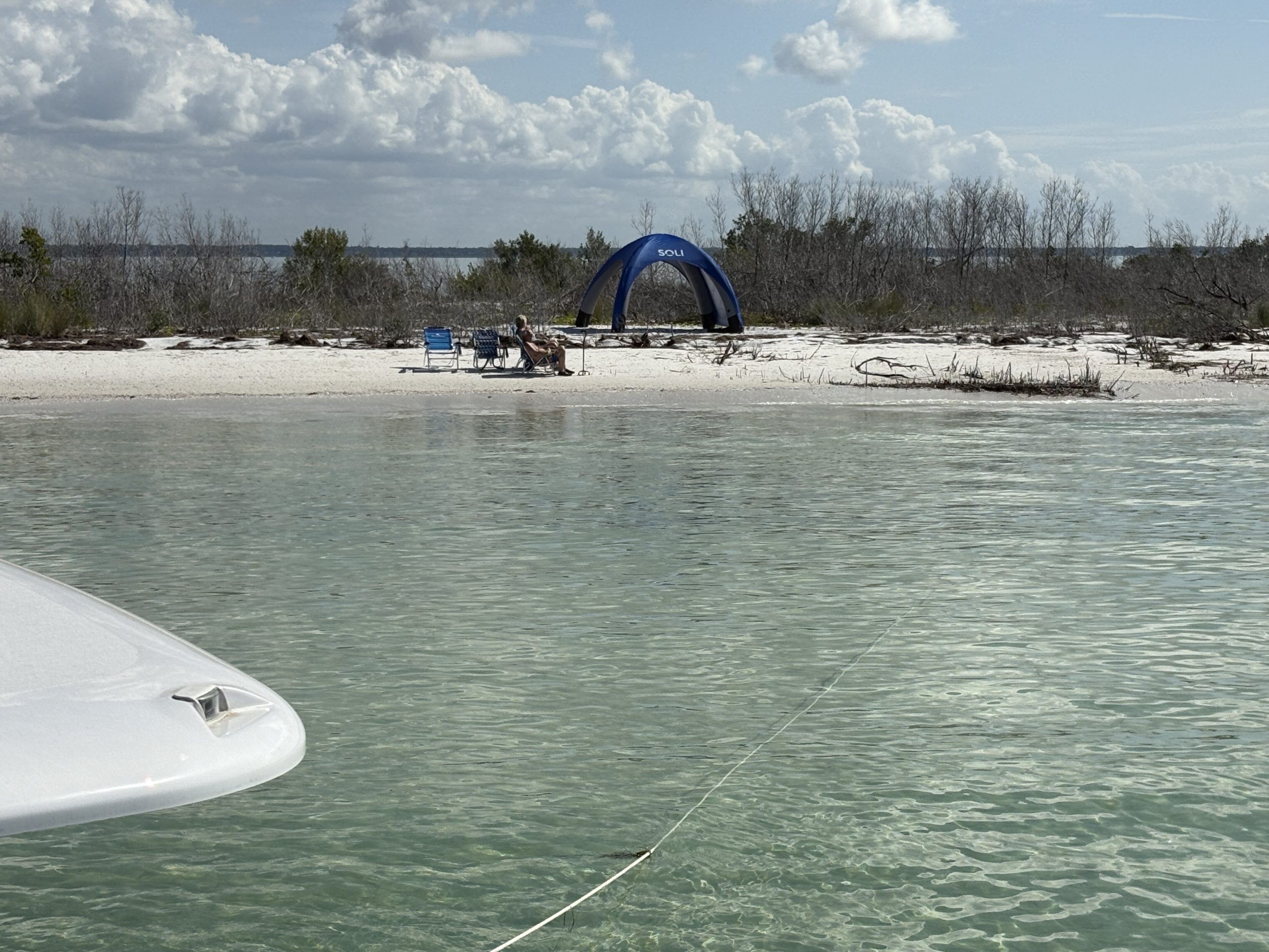 Redfish in Clearwater